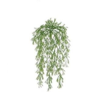 Sprengeri Hanging Greenery - Greenery & Floral - artificial hanging seaweed for sale